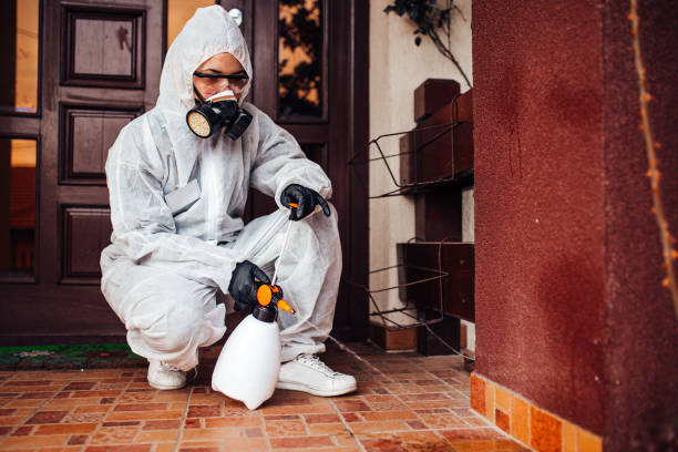 Reliable Wasp Removal contractor in Zebulon, GA by Show Me Pest Control